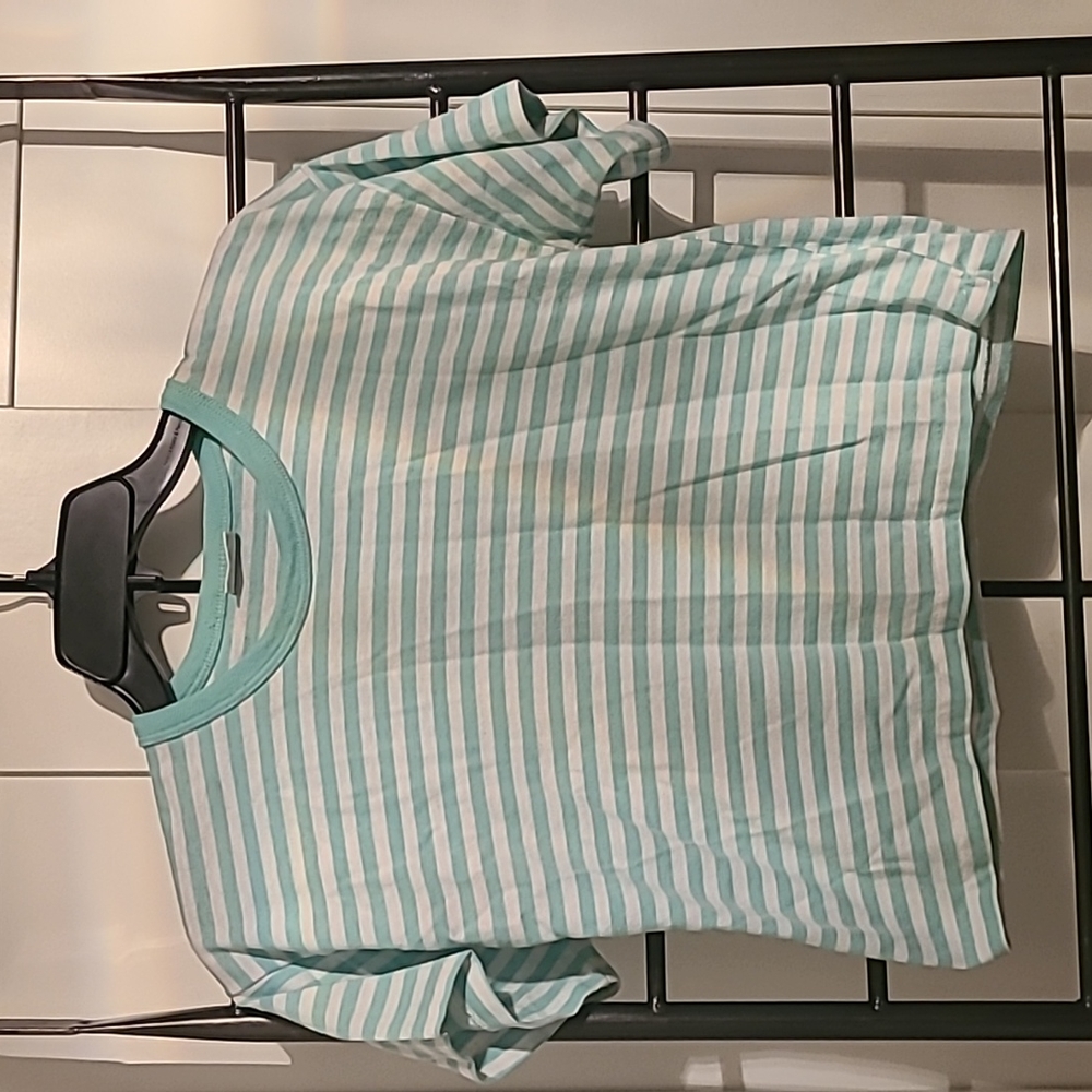 Vintage palmetto's crop pinstripe T